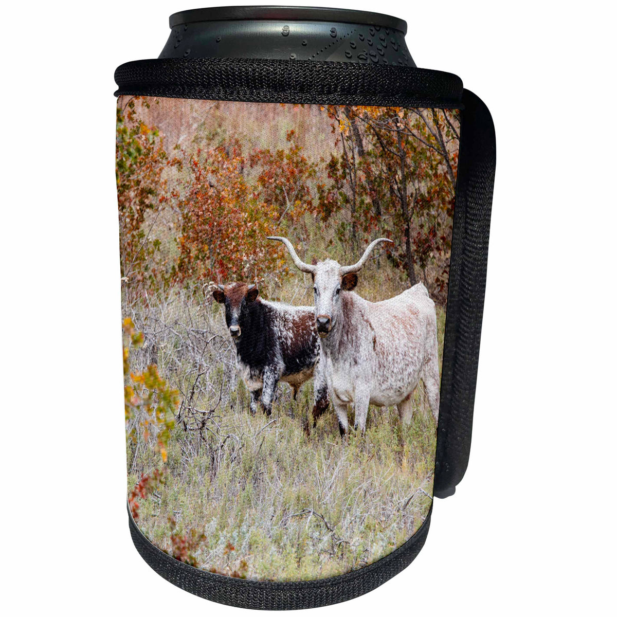 3dRose Danita Delimont - Cattle - Two Texas Longhorn cattle in grassland - Can Cooler Bottle Wrap (cc_260139)