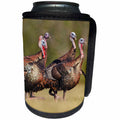 3dRose Danita Delimont - birds - Wild Turkey, Meleagris gallopavo, male - Can Cooler Bottle Wrap (cc_260141)