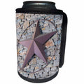 3dRose Danita Delimont - Texas - Texas star, Austin, Texas, Usa - Can Cooler Bottle Wrap (cc_260147)