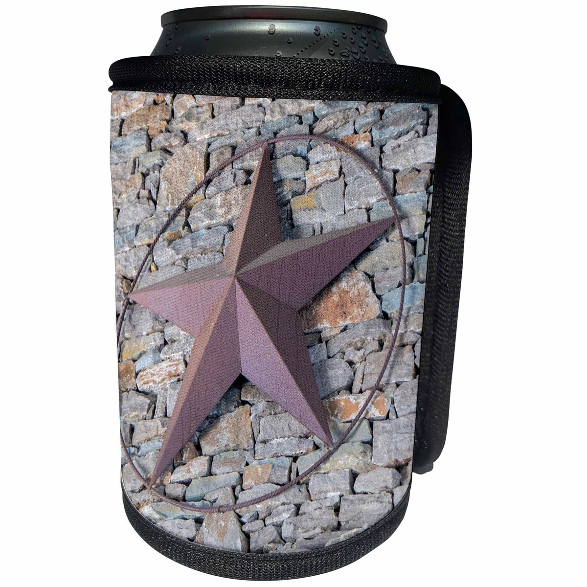 3dRose Danita Delimont - Texas - Texas star, Austin, Texas, Usa - Can Cooler Bottle Wrap (cc_260147)
