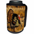 3dRose Danita Delimont - Birds - Rio Grande Wild Turkey gobbler strutting, Starr Co., Texas - Can Cooler Bottle Wrap (cc_260151)
