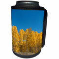 3dRose Danita Delimont - Trees - Utah, Scenic Byway Torrey to Boulder in Fall Color - Can Cooler Bottle Wrap (cc_260195)