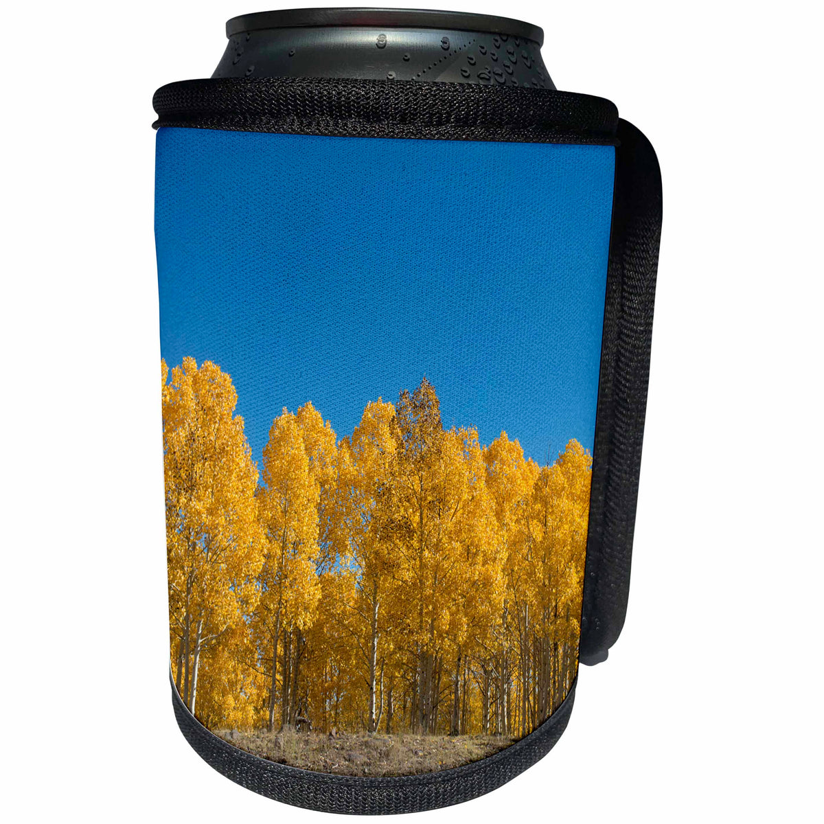 3dRose Danita Delimont - Trees - Utah, Scenic Byway Torrey to Boulder in Fall Color - Can Cooler Bottle Wrap (cc_260195)