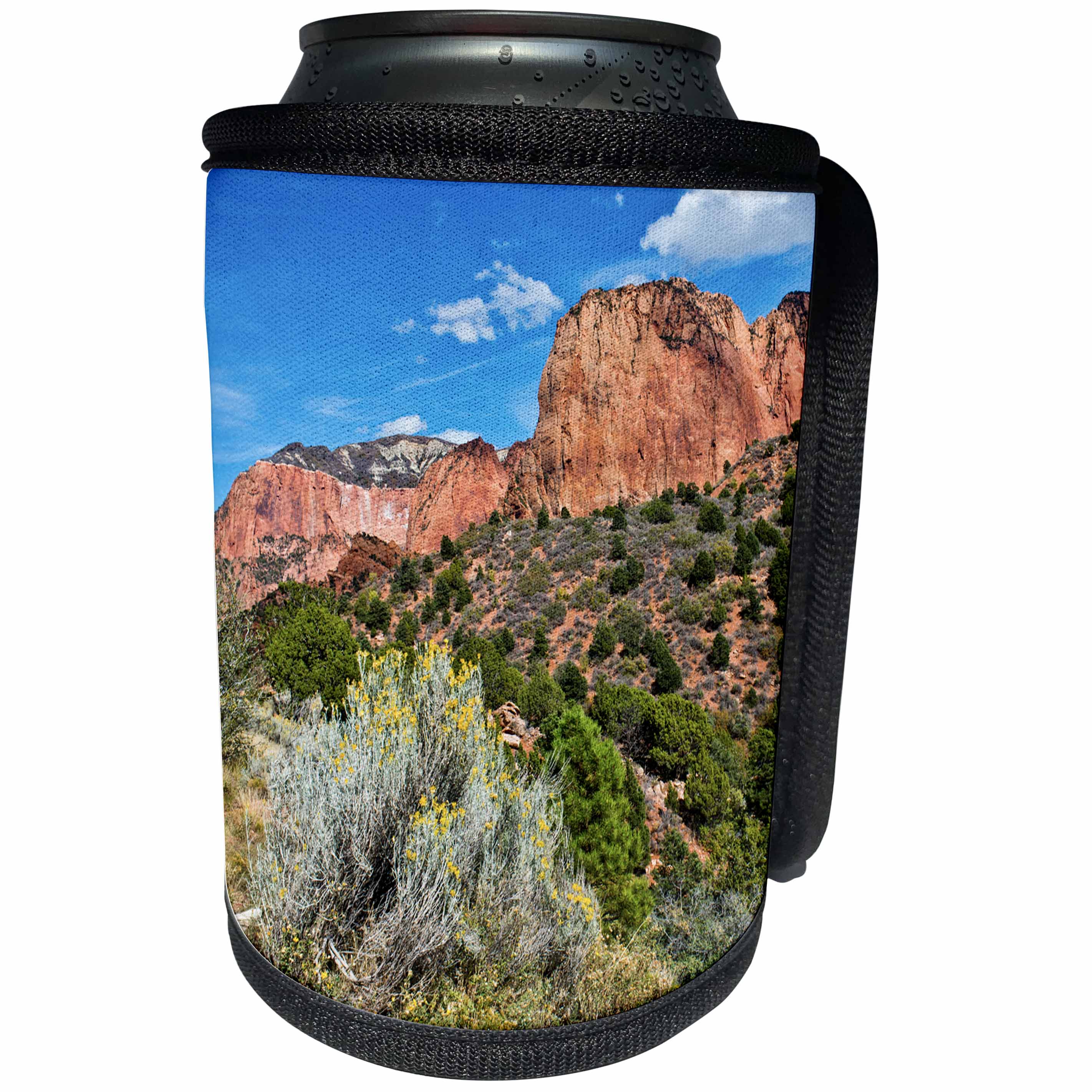 3dRose Danita Delimont - Utah - USA, Utah, Kolb Canyon, Zion National Park - Can Cooler Bottle Wrap (cc_260197)