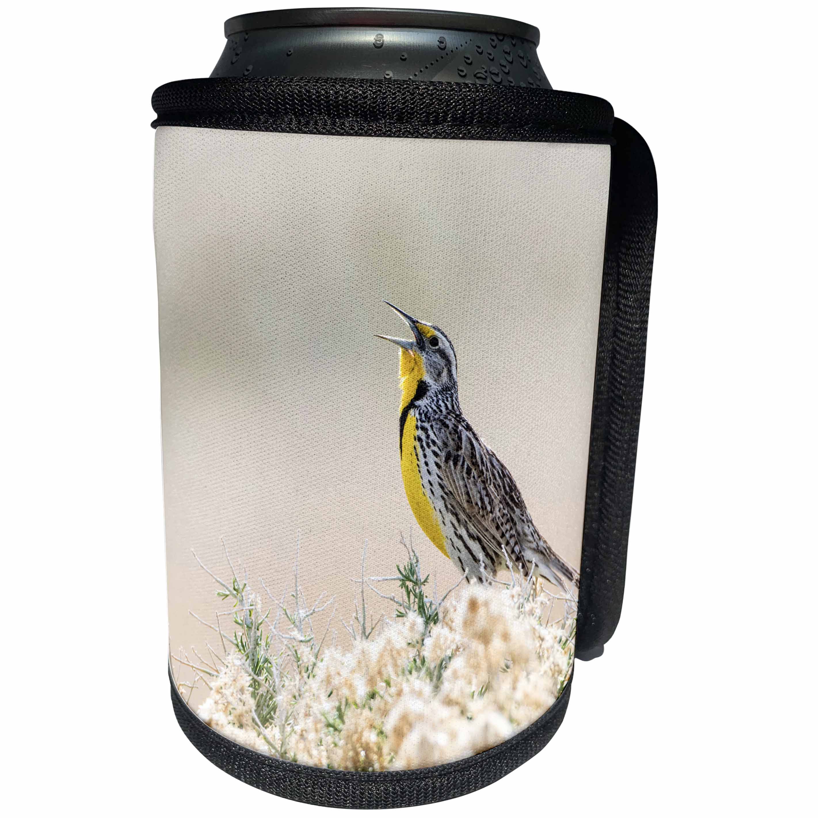 3dRose Danita Delimont - Birds - Usa, Utah, Antelope Island, Western Meadowlark sings from a sagebrush. - Can Cooler Bottle Wrap (cc_260202)