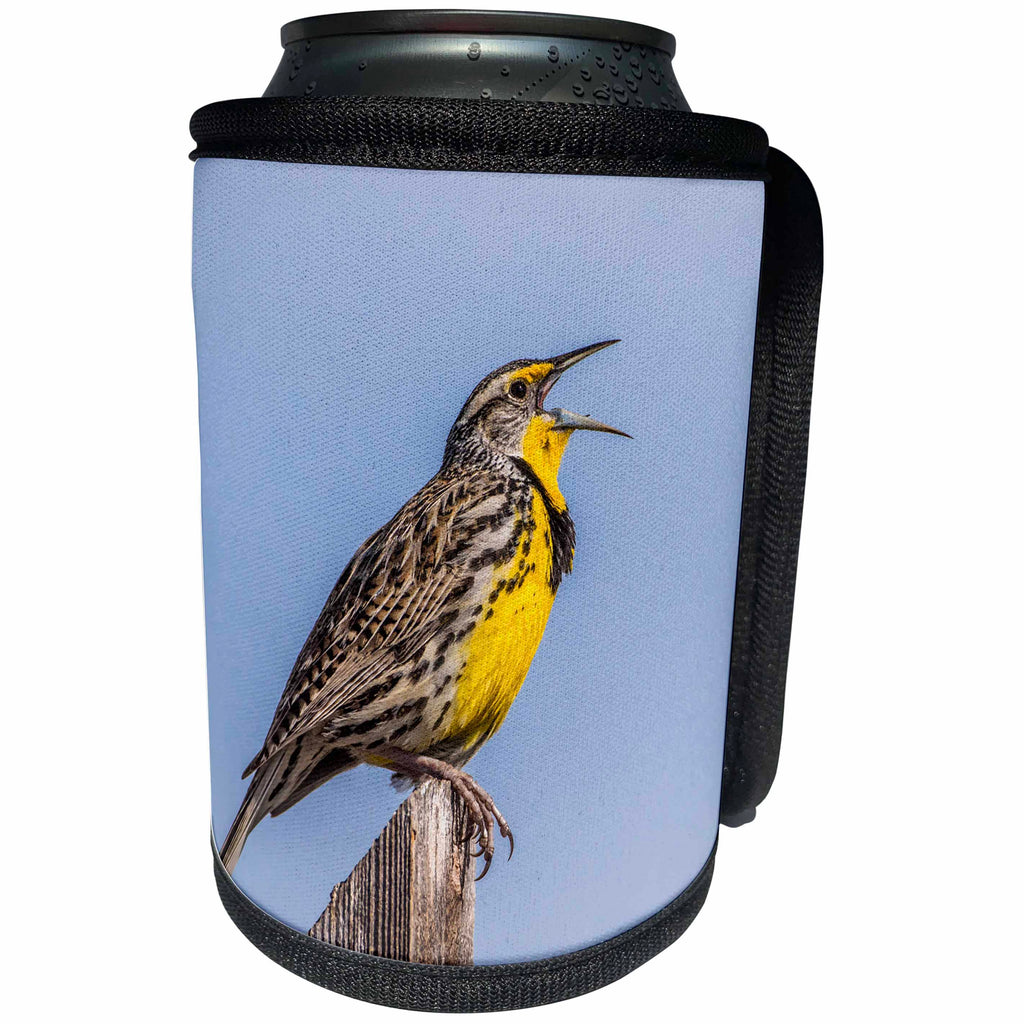 3dRose Danita Delimont - Birds - USA, Utah, Antelope Island, Western Meadowlark singing a song. - Can Cooler Bottle Wrap (cc_260204)