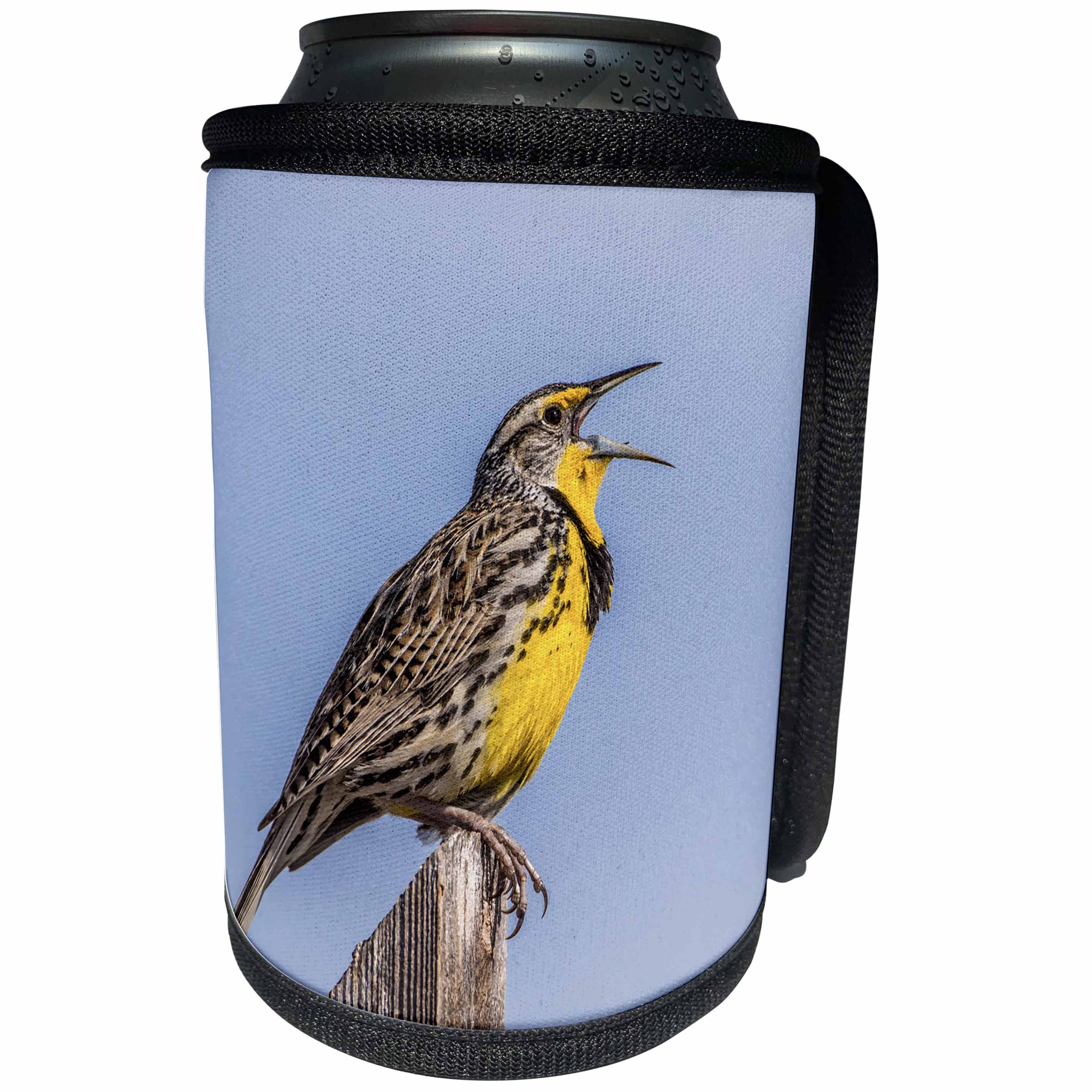 3dRose Danita Delimont - Birds - USA, Utah, Antelope Island, Western Meadowlark singing a song. - Can Cooler Bottle Wrap (cc_260204)