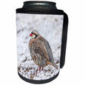 3dRose Danita Delimont - Birds - Utah, Antelope Island State Park, Chukar stands in the snow. - Can Cooler Bottle Wrap (cc_260205)
