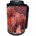 3dRose Danita Delimont - Utah - Utah, Bryce Canyon National Park, Hoodoo formations - Can Cooler Bottle Wrap (cc_260212)