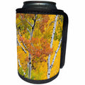 3dRose Danita Delimont - Trees - Utah, Dixie National Forest, aspen forest along highway 12 in autumn - Can Cooler Bottle Wrap (cc_260226)