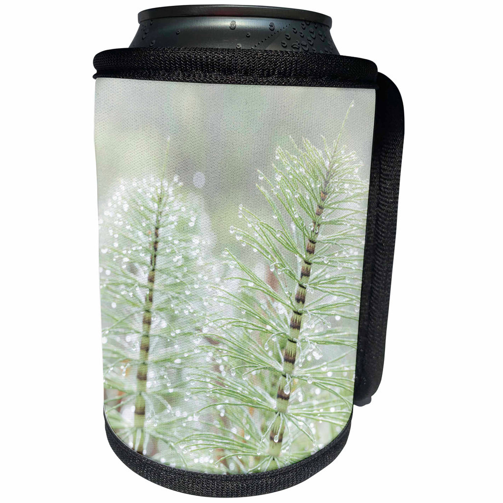 3dRose Danita Delimont - Botanical - USA, Washington State, Seabeck. Dewdrops on horsetail - Can Cooler Bottle Wrap (cc_260438)