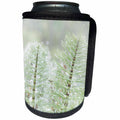 3dRose Danita Delimont - Botanical - USA, Washington State, Seabeck. Dewdrops on horsetail - Can Cooler Bottle Wrap (cc_260438)