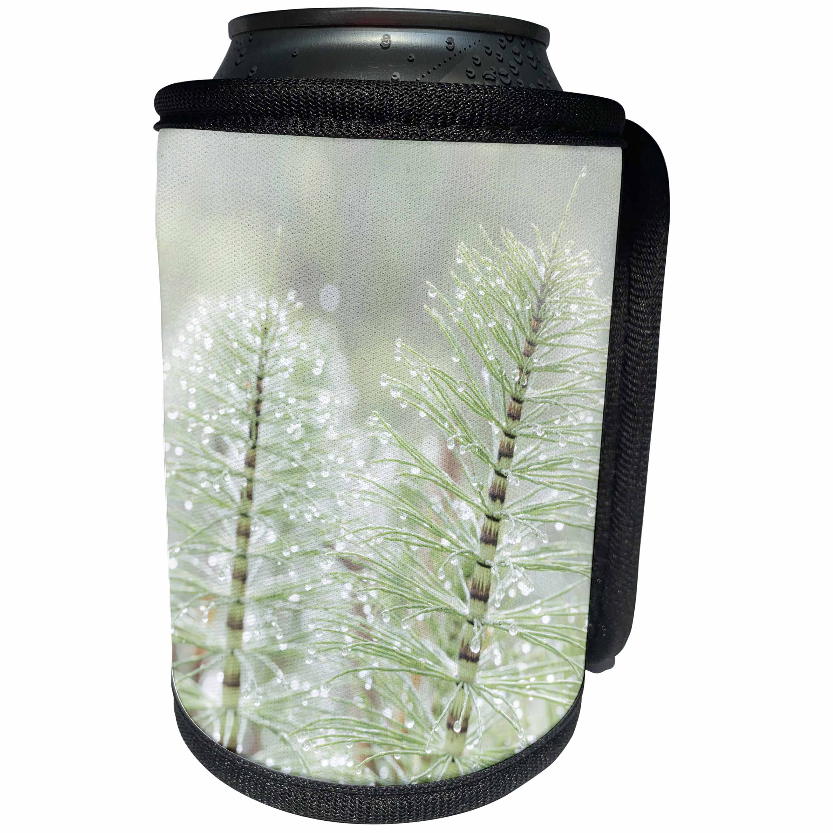 3dRose Danita Delimont - Botanical - USA, Washington State, Seabeck. Dewdrops on horsetail - Can Cooler Bottle Wrap (cc_260438)