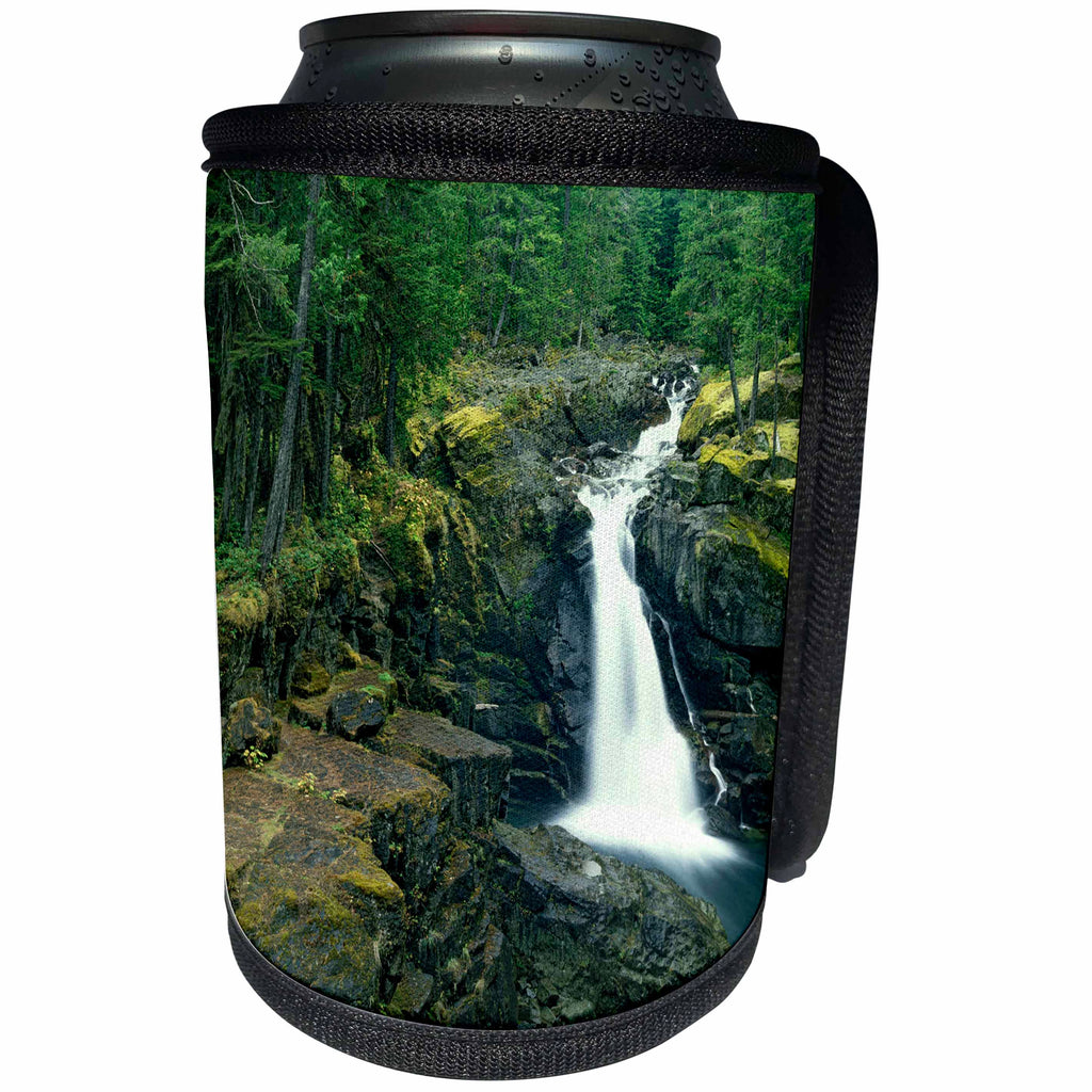 3dRose Danita Delimont - Waterfalls - USA, Washington State, Mt. Rainier National Park. Silver Falls scenic. - Can Cooler Bottle Wrap (cc_260444)