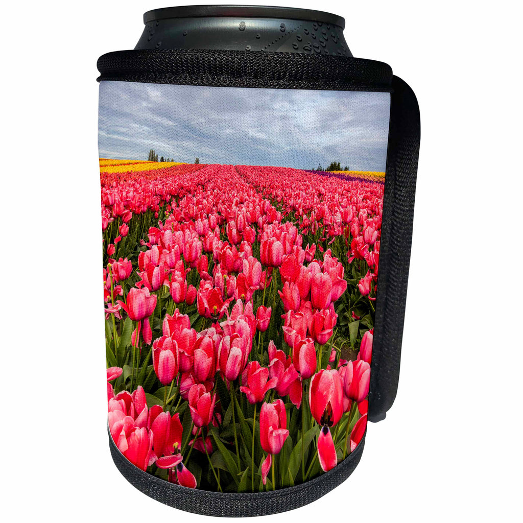 3dRose Danita Delimont - Agriculture - Field of spring tulips in bloom, Skagit Valley, Washington - Can Cooler Bottle Wrap (cc_260475)