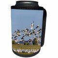 3dRose Danita Delimont - Birds - Snow geese in the Skagit Valley, Washington State, USA - Can Cooler Bottle Wrap (cc_260477)