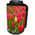 3dRose Danita Delimont - Flowers - One yellow tulip in a field of red tulips, Skagit Valley, Washington - Can Cooler Bottle Wrap (cc_260479)