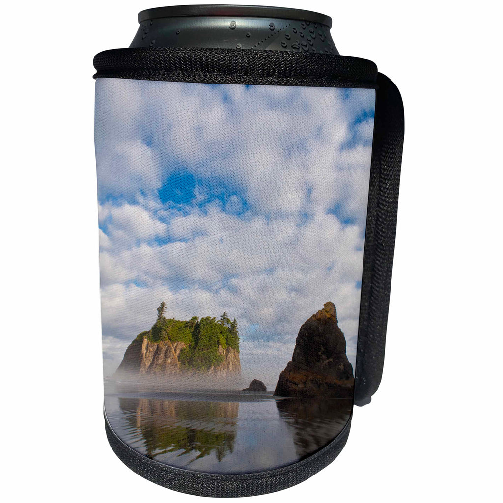 3dRose Danita Delimont - Beaches - USA, Washington, Olympic NP. Morning mist on Ruby Beach and sea staks. - Can Cooler Bottle Wrap (cc_260497)