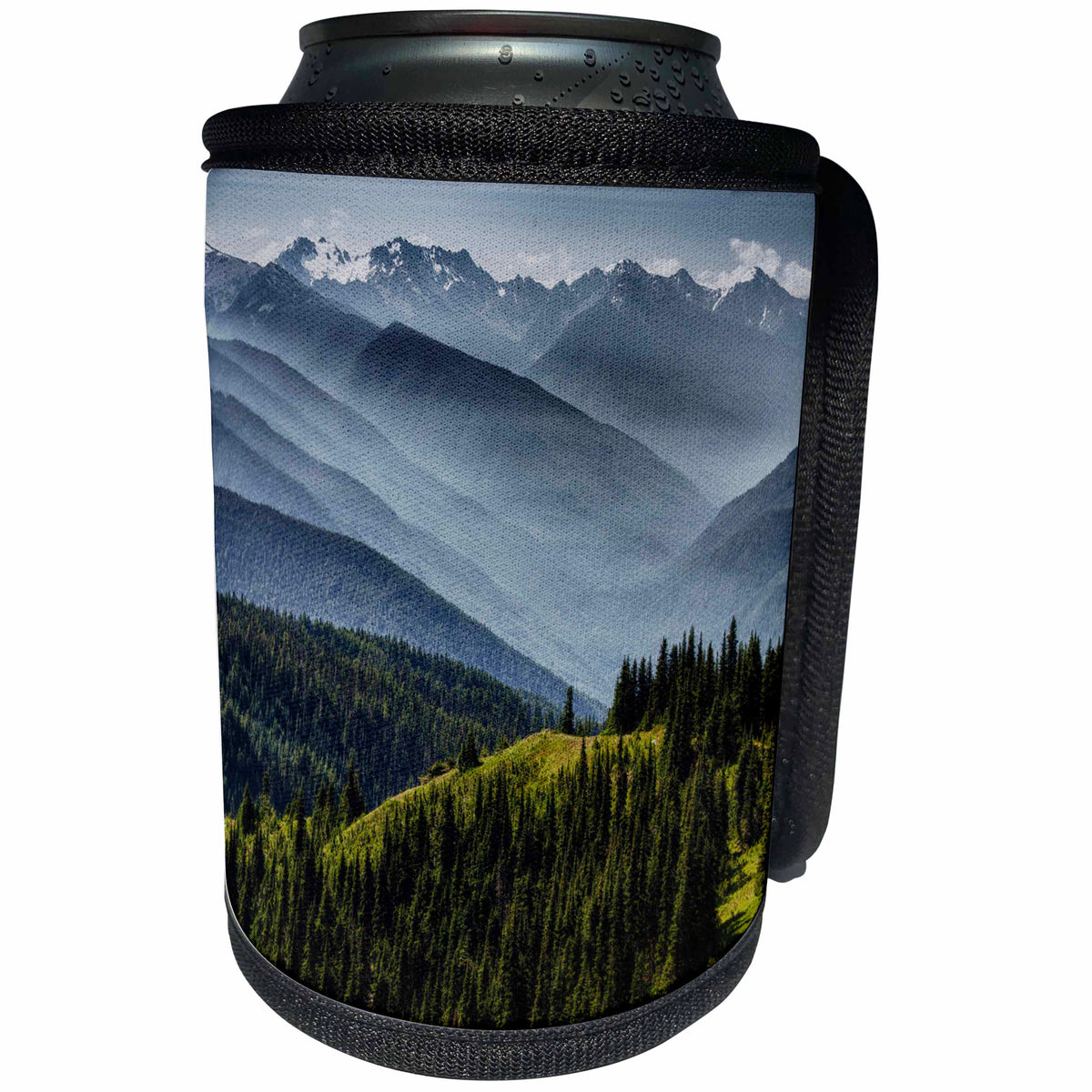 3dRose Danita Delimont - Mountain - Fog melts revealing the Olympic range, Hurricane Ridge, Washington - Can Cooler Bottle Wrap (cc_260505)