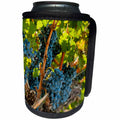 3dRose Danita Delimont - Vineyards - Usa, Washington, Red Mountain. Merlot grapes. - Can Cooler Bottle Wrap (cc_260508)