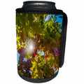 3dRose Danita Delimont - Vineyards - Usa, Washington, Red Mountain. Petit verdot block at harvest season. - Can Cooler Bottle Wrap (cc_260509)