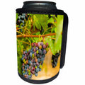 3dRose Danita Delimont - Vineyards - Usa, Washington State, Yakima Valley. Syrah grapes. - Can Cooler Bottle Wrap (cc_260521)