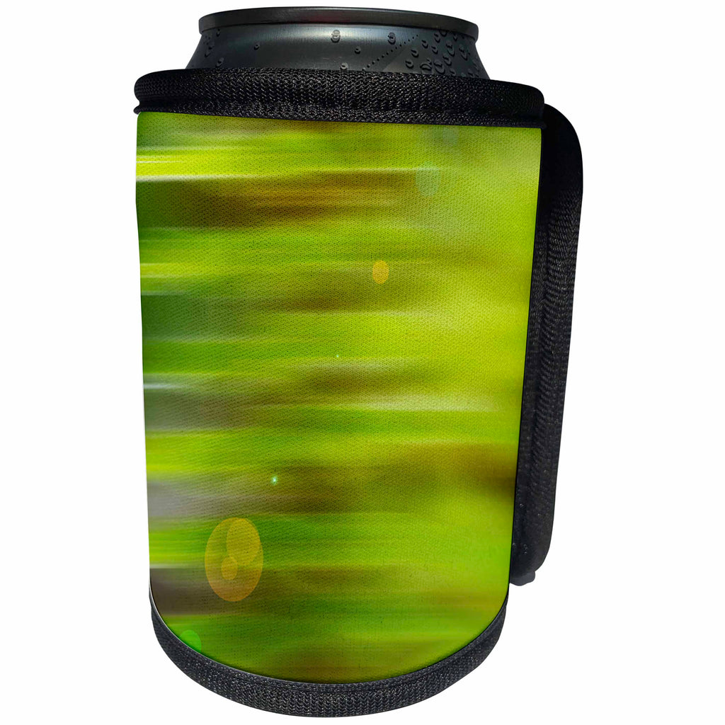 3dRose Danita Delimont - Abstracts - Fern abstract - Can Cooler Bottle Wrap (cc_260528)