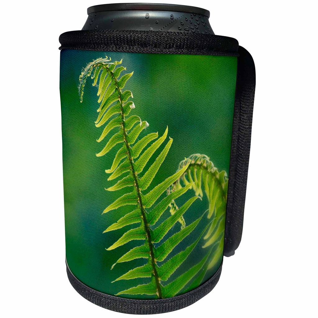 3dRose Danita Delimont - Botanical - Garden Fern - Can Cooler Bottle Wrap (cc_260530)