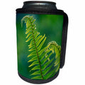 3dRose Danita Delimont - Botanical - Garden Fern - Can Cooler Bottle Wrap (cc_260530)