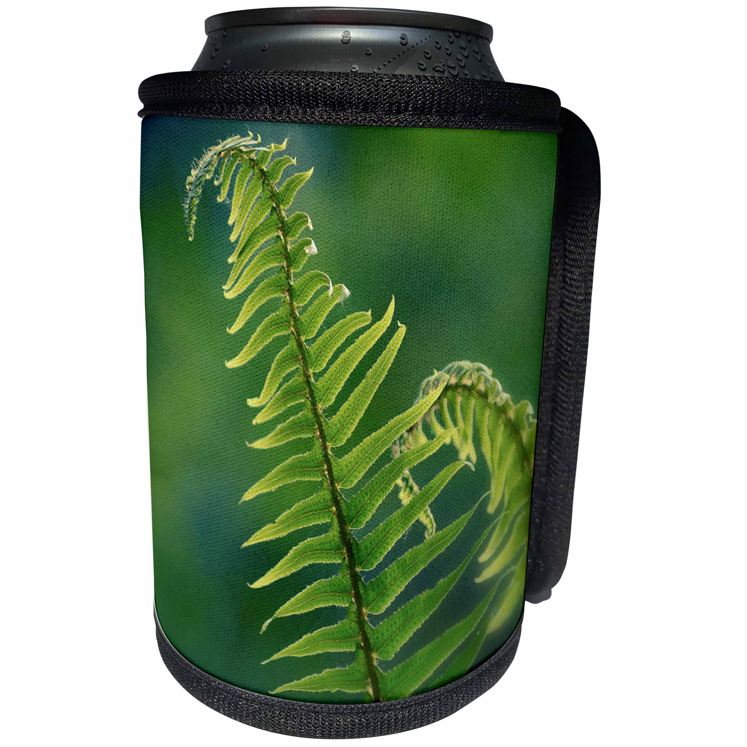 3dRose Danita Delimont - Botanical - Garden Fern - Can Cooler Bottle Wrap (cc_260530)