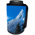 3dRose Danita Delimont - Mountain - Forest along McClellan Butte in winter, Snoqualmie Pass, Washington - Can Cooler Bottle Wrap (cc_260540)