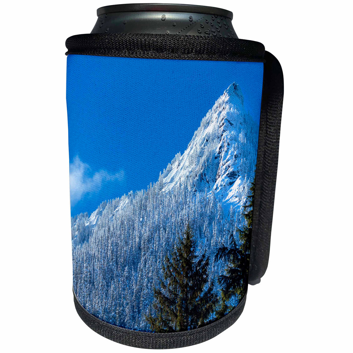 3dRose Danita Delimont - Mountain - Forest along McClellan Butte in winter, Snoqualmie Pass, Washington - Can Cooler Bottle Wrap (cc_260540)