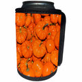 3dRose Danita Delimont - Food - Small Orange Pumpkins Squash Cucurbita Pepo Squash - Can Cooler Bottle Wrap (cc_260541)