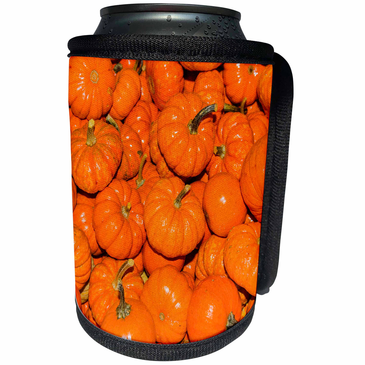 3dRose Danita Delimont - Food - Small Orange Pumpkins Squash Cucurbita Pepo Squash - Can Cooler Bottle Wrap (cc_260541)