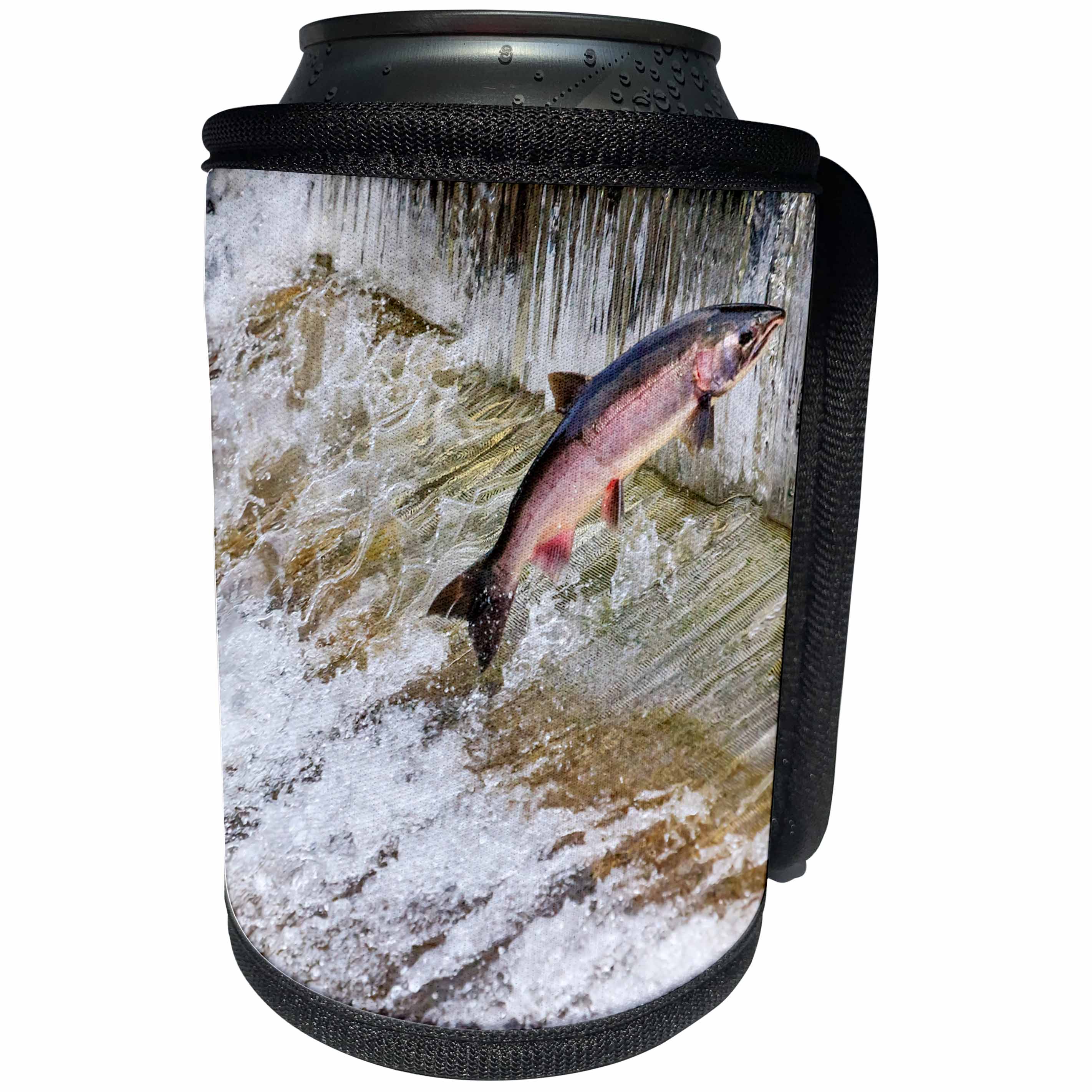 3dRose Danita Delimont - fish - Salmon jumping up a fish ladder. Issaquah Hatchery, Washington - Can Cooler Bottle Wrap (cc_260549)
