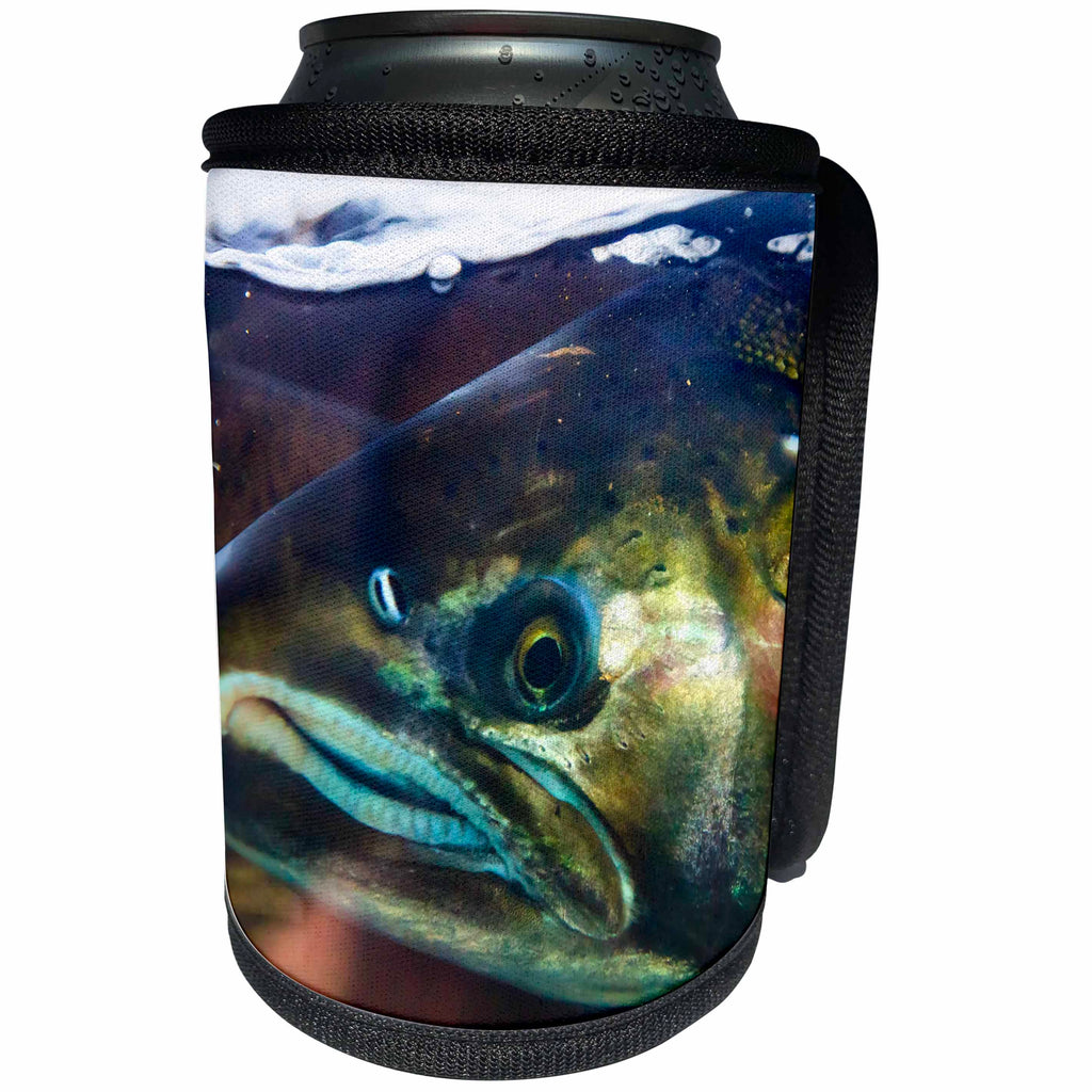 3dRose Danita Delimont - Fish - Close-Up of salmon head, Issaquah Hatchery, Washington. - Can Cooler Bottle Wrap (cc_260553)