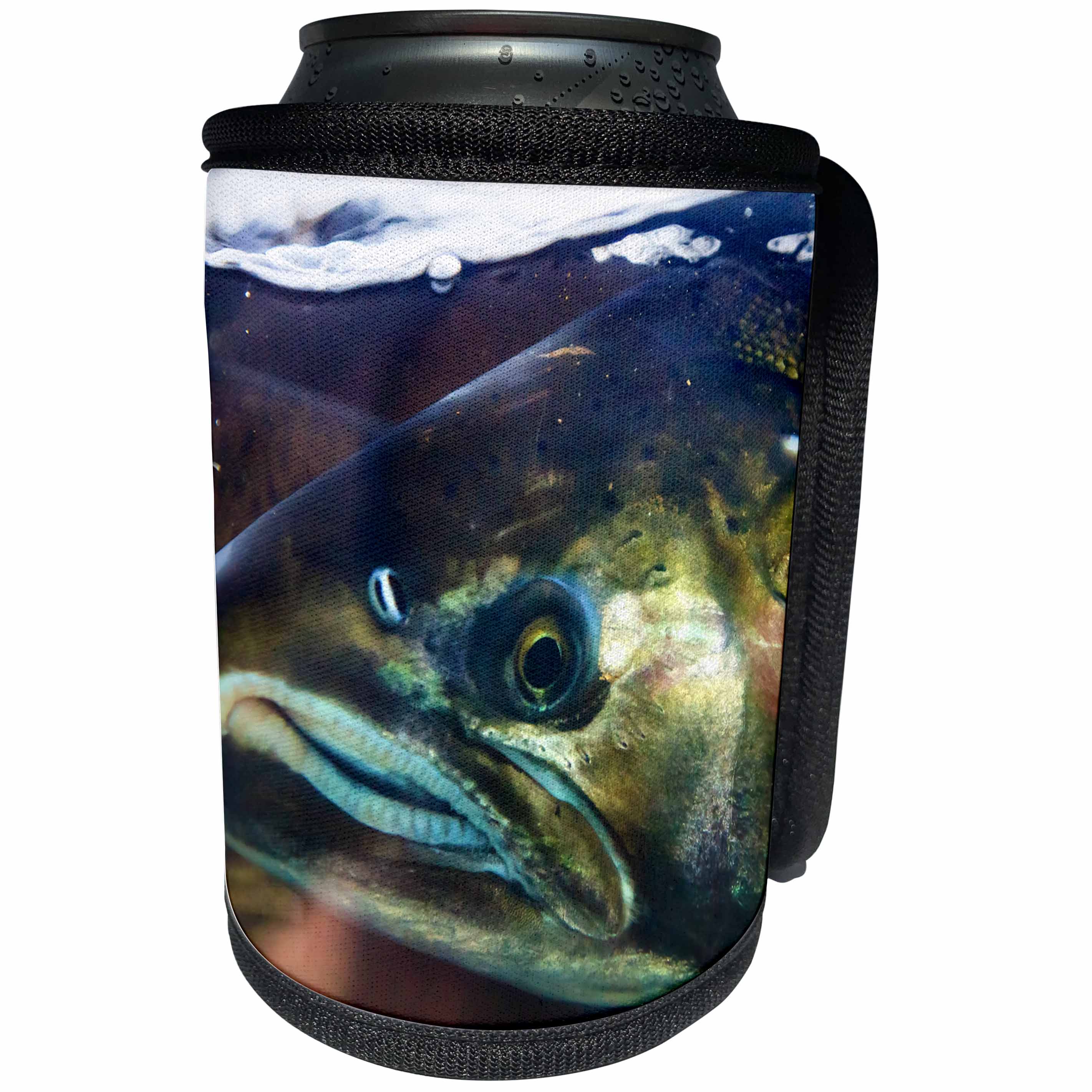 3dRose Danita Delimont - Fish - Close-Up of salmon head, Issaquah Hatchery, Washington. - Can Cooler Bottle Wrap (cc_260553)