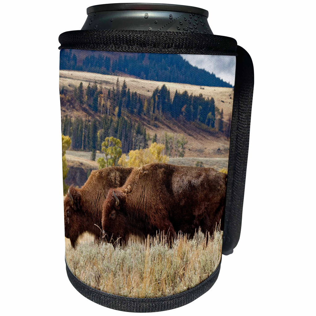 3dRose Danita Delimont - Bison - Herd of Bison in fall, Lamar Valley, Yellowstone NP, Wyoming - Can Cooler Bottle Wrap (cc_260573)