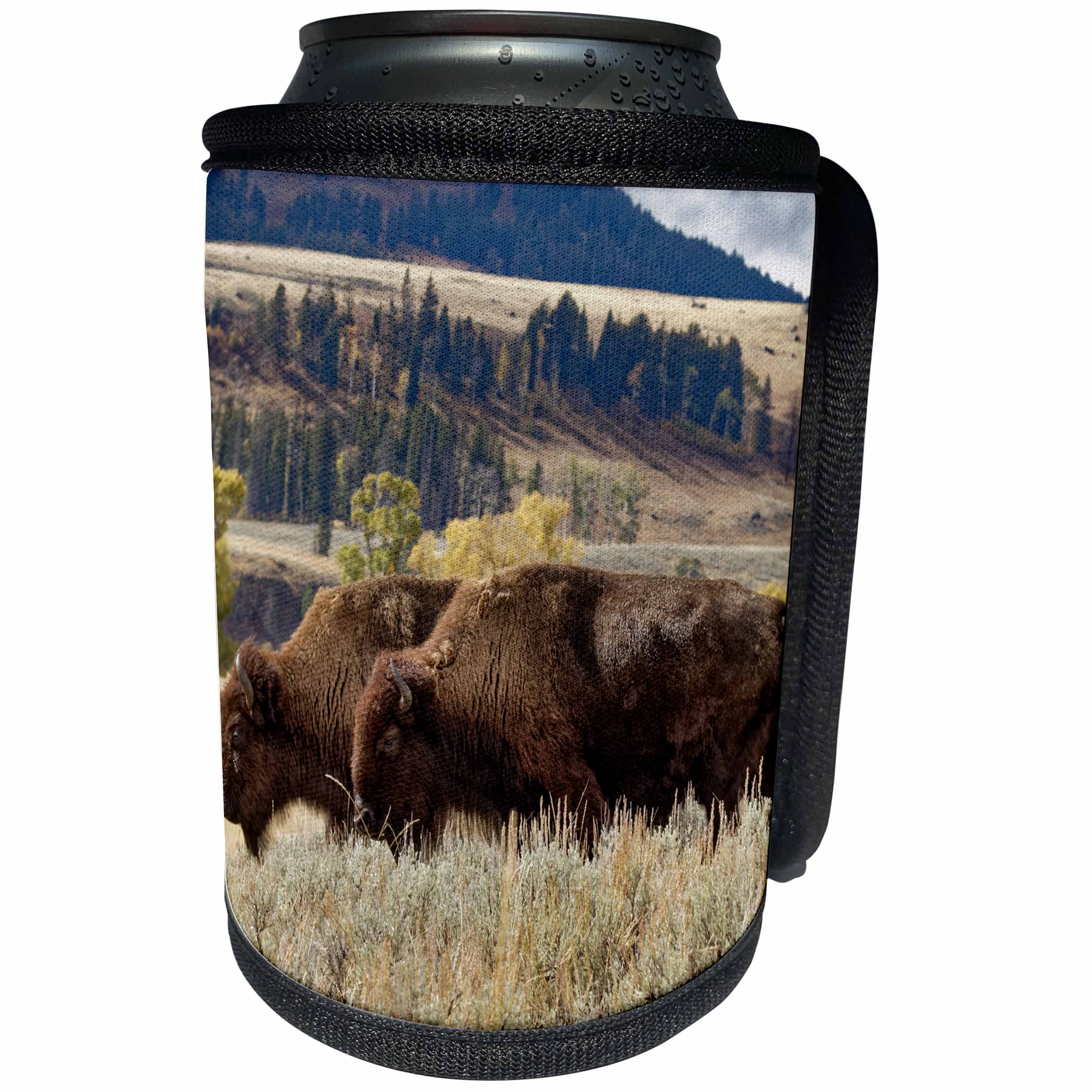 3dRose Danita Delimont - Bison - Herd of Bison in fall, Lamar Valley, Yellowstone NP, Wyoming - Can Cooler Bottle Wrap (cc_260573)