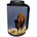 3dRose Danita Delimont - Bison - Bison in fall, Lamar Valley, Yellowstone National Park, Wyoming. - Can Cooler Bottle Wrap (cc_260574)