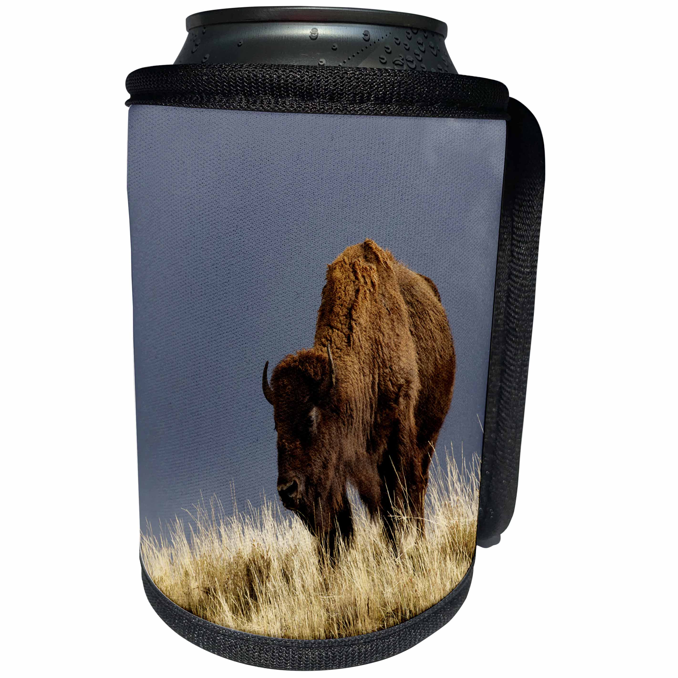 3dRose Danita Delimont - Bison - Bison in fall, Lamar Valley, Yellowstone National Park, Wyoming. - Can Cooler Bottle Wrap (cc_260574)