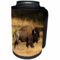 3dRose Danita Delimont - Bison - Bison, Yellowstone National Park, Wyoming. - Can Cooler Bottle Wrap (cc_260581)