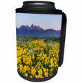 3dRose Danita Delimont - Flowers - Wildflowers in sagebrush meadows in Grand Teton National Park, Wyoming - Can Cooler Bottle Wrap (cc_260597)