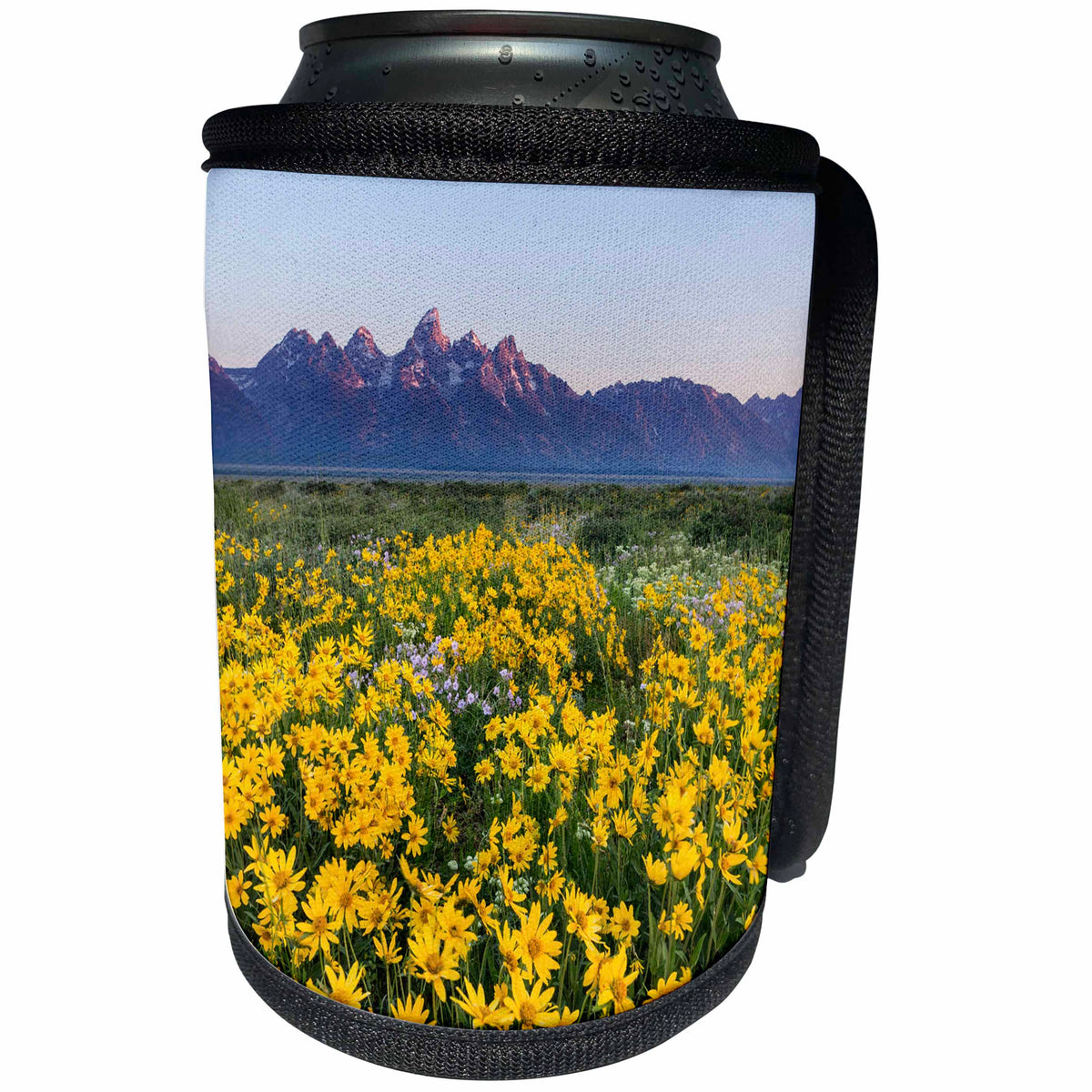 3dRose Danita Delimont - Flowers - Wildflowers in sagebrush meadows in Grand Teton National Park, Wyoming - Can Cooler Bottle Wrap (cc_260597)