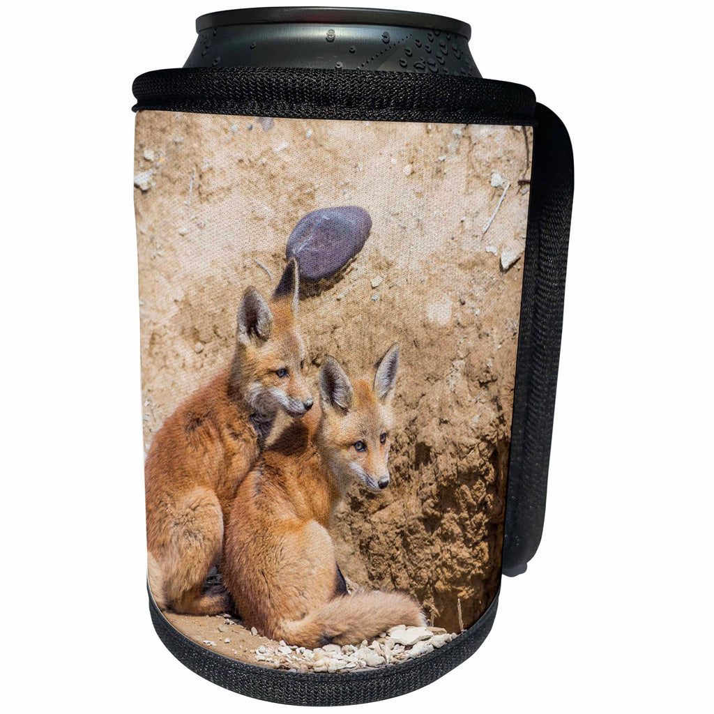 3dRose Danita Delimont - Baby Animals - Wyoming, Lincoln County, two Red Fox kits sit in front of their den. - Can Cooler Bottle Wrap (cc_260604)