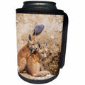 3dRose Danita Delimont - Baby Animals - Wyoming, Lincoln County, two Red Fox kits sit in front of their den. - Can Cooler Bottle Wrap (cc_260604)