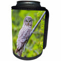 3dRose Danita Delimont - Owls - Usa, Wyoming, Grand Teton NP, Great Gray Owl roosts on a branch. - Can Cooler Bottle Wrap (cc_260606)
