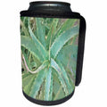 3dRose Taiche - Acrylic Painting - Aloe Vera - Amazing Aloe Vera - Can Cooler Bottle Wrap (cc_260789)