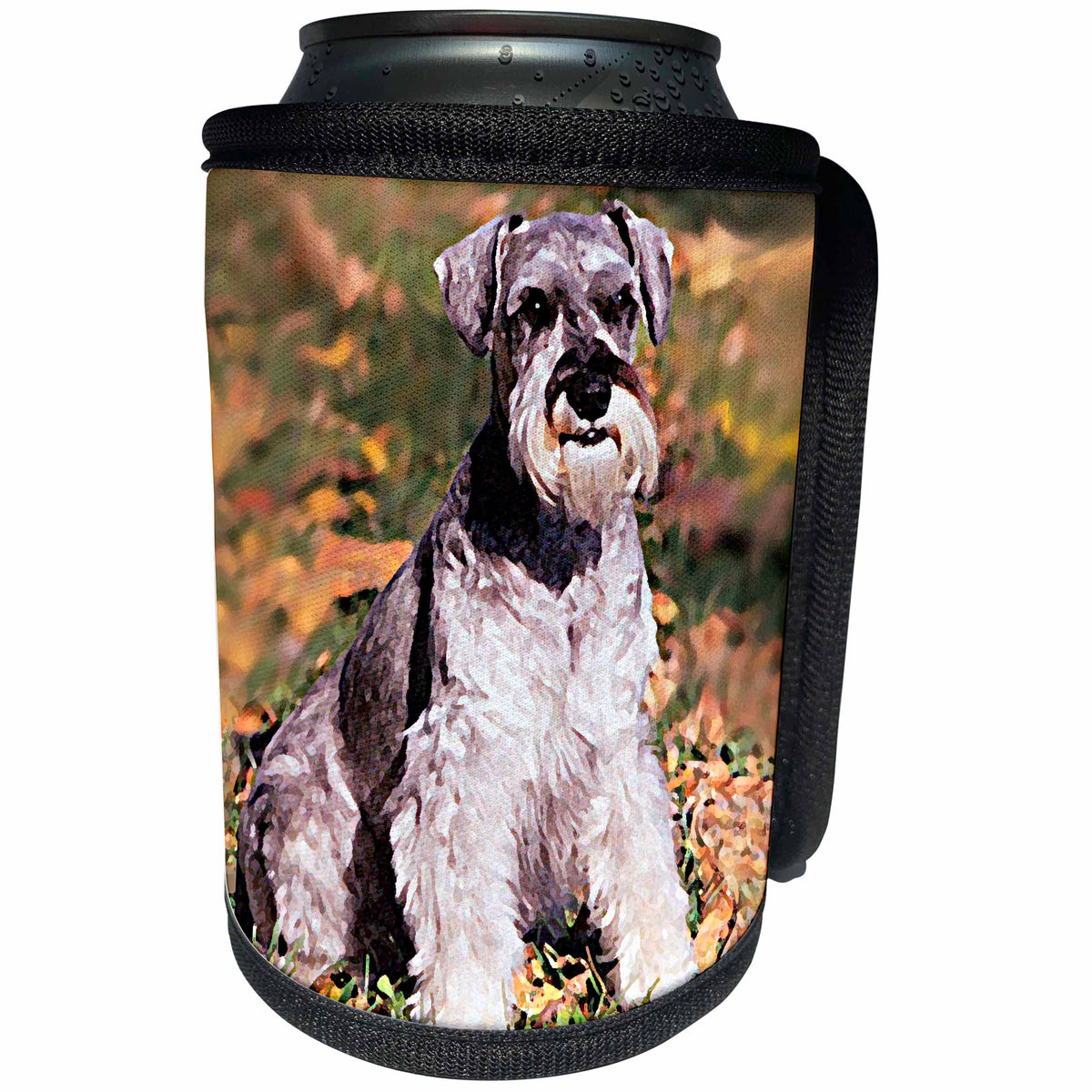 3dRose Dogs Schnauzer - Schnauzer - Can Cooler Bottle Wrap (cc_261)