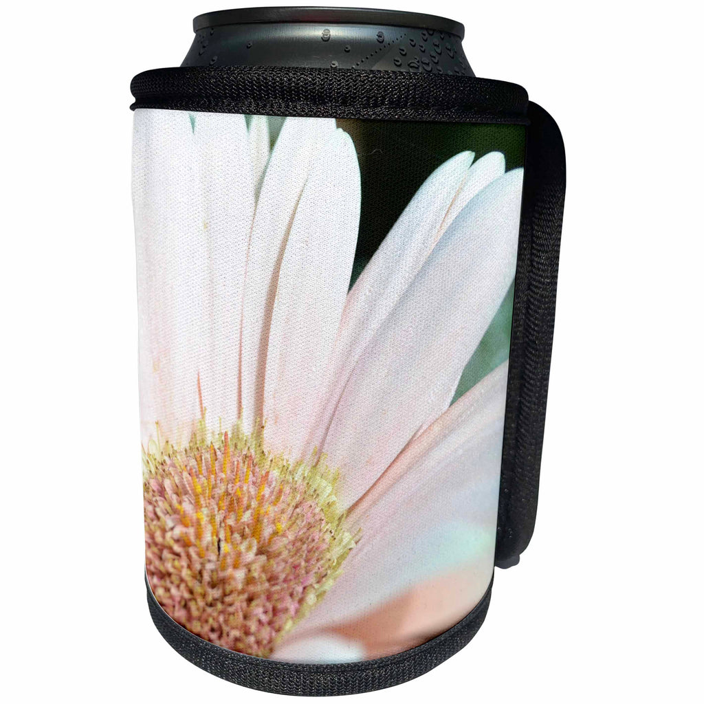 3dRose Patricia Sanders Flowers - Floral Pink Gerbera Daisy - Can Cooler Bottle Wrap (cc_26132)